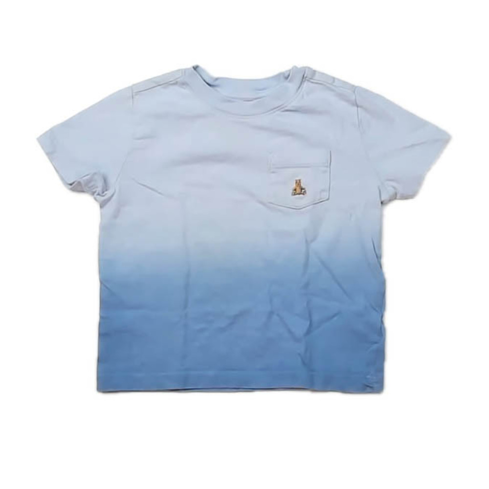 Gap Boys Blue T-Shirt size: 2T